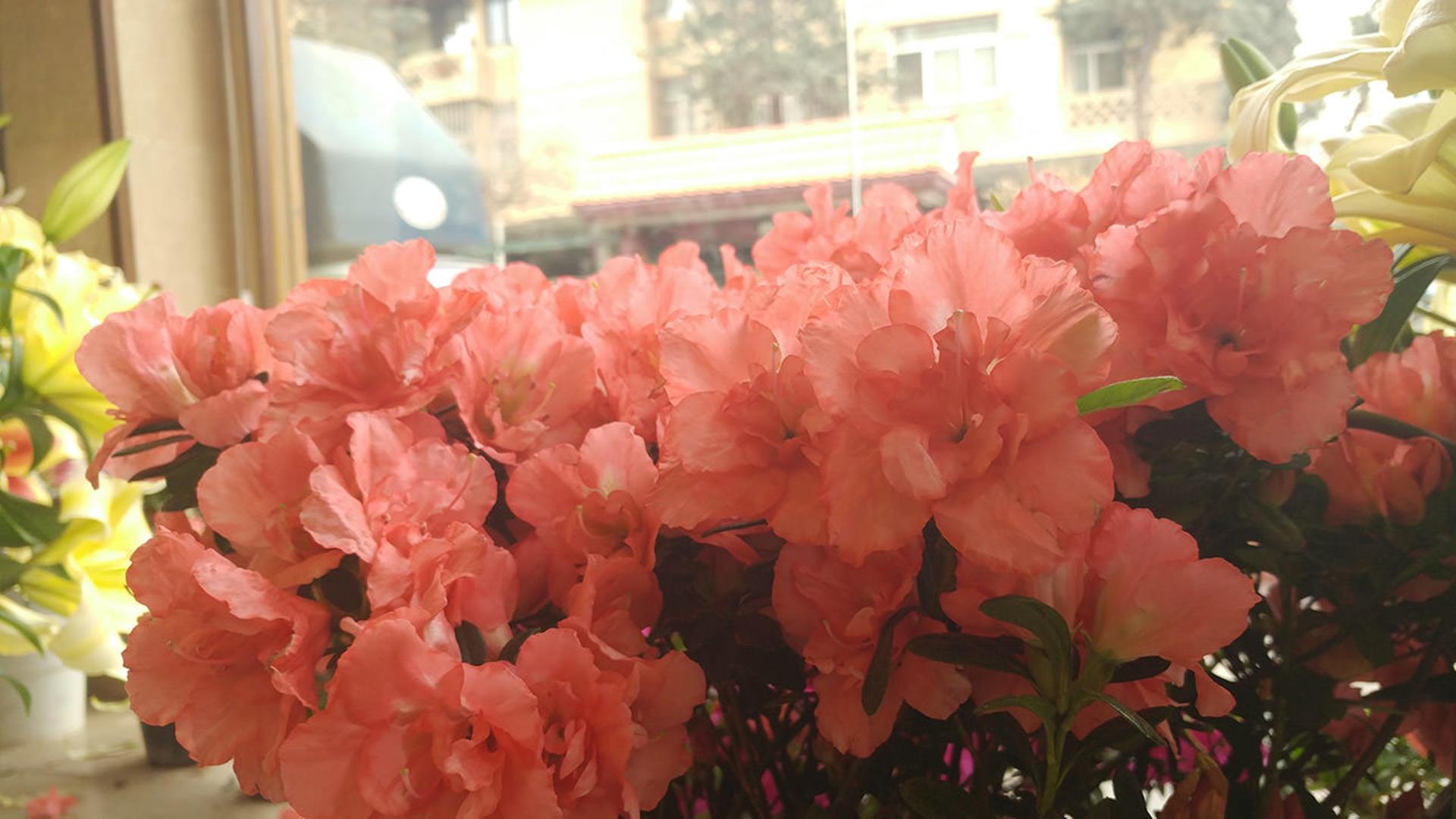 نمونه عکس جی ۵ داینامیک رنج