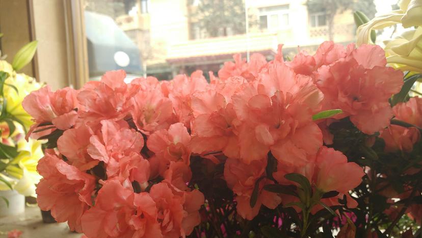 نمونه عکس جی ۵ داینامیک رنج