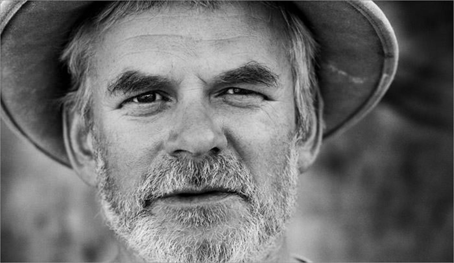 اندری گلدورتی