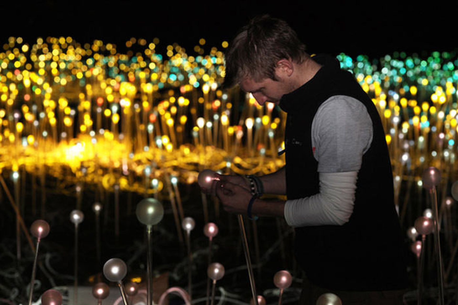 بروس مونرو هنرمند بریتانیایی