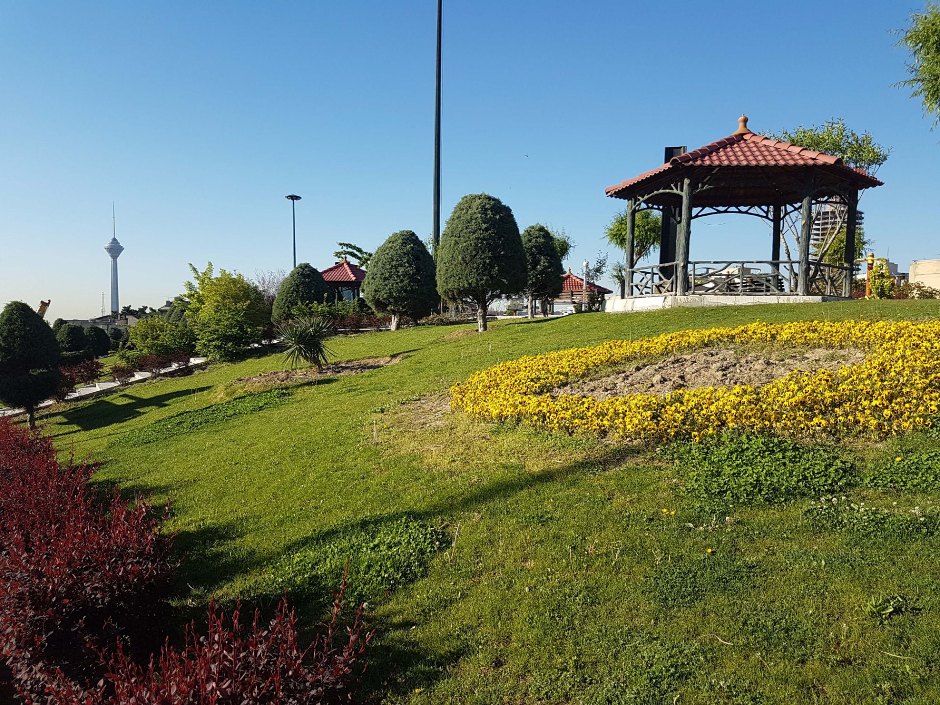 نمونه عکس دوربین گلکسی اس 7