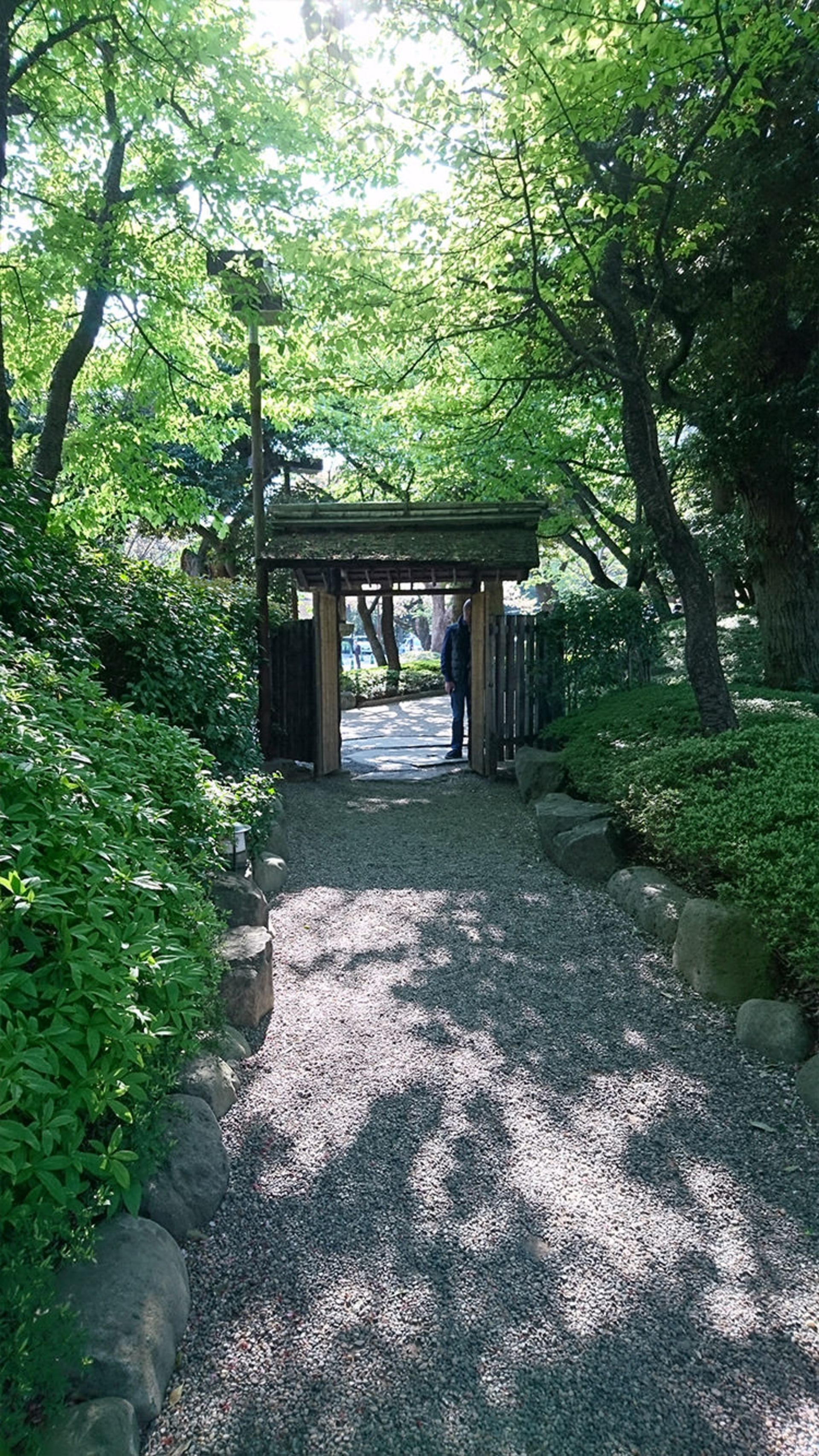 عکس اکسپریا ایکس