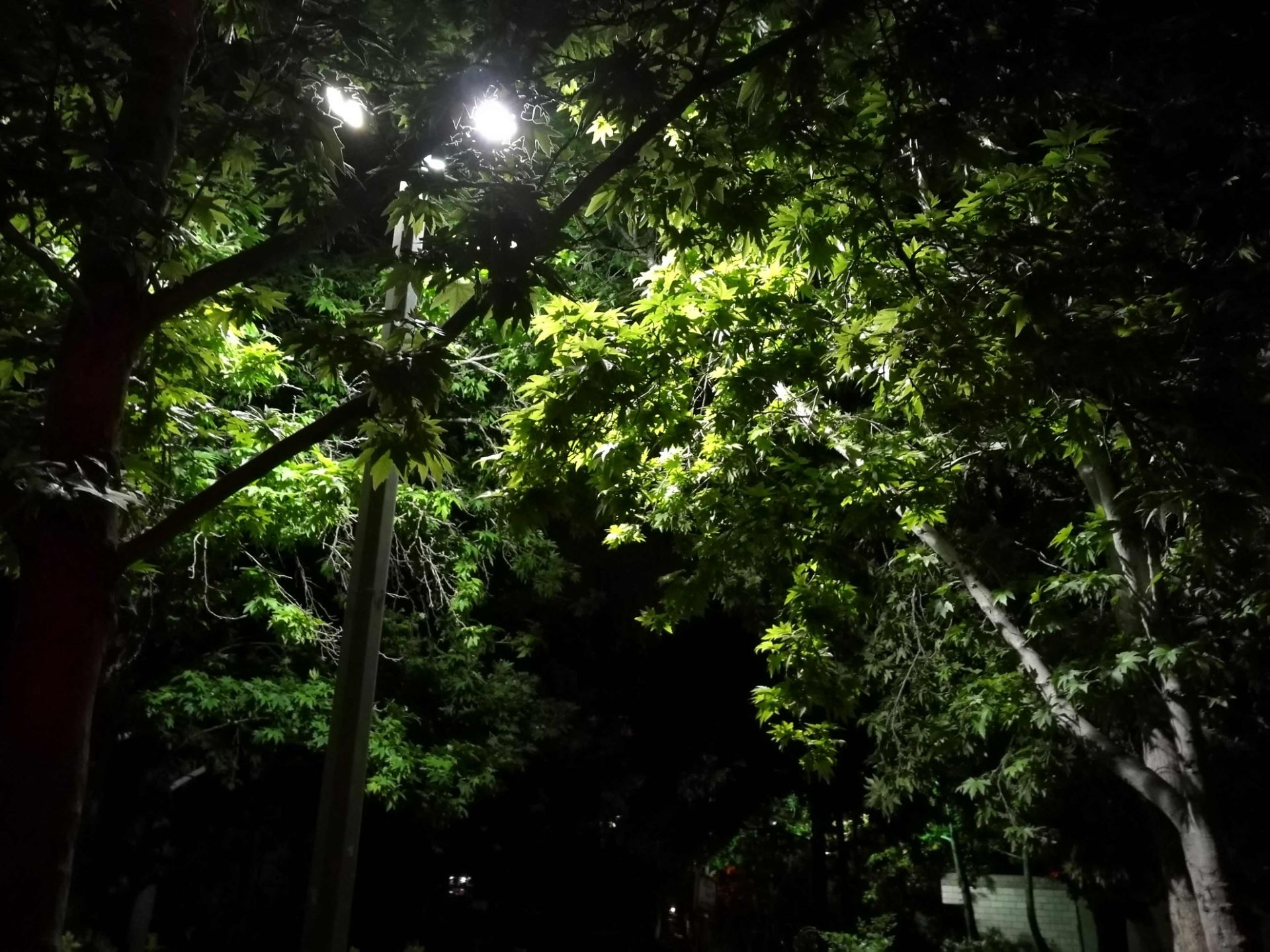 نمونه عکس دوربین هواوی پی 9