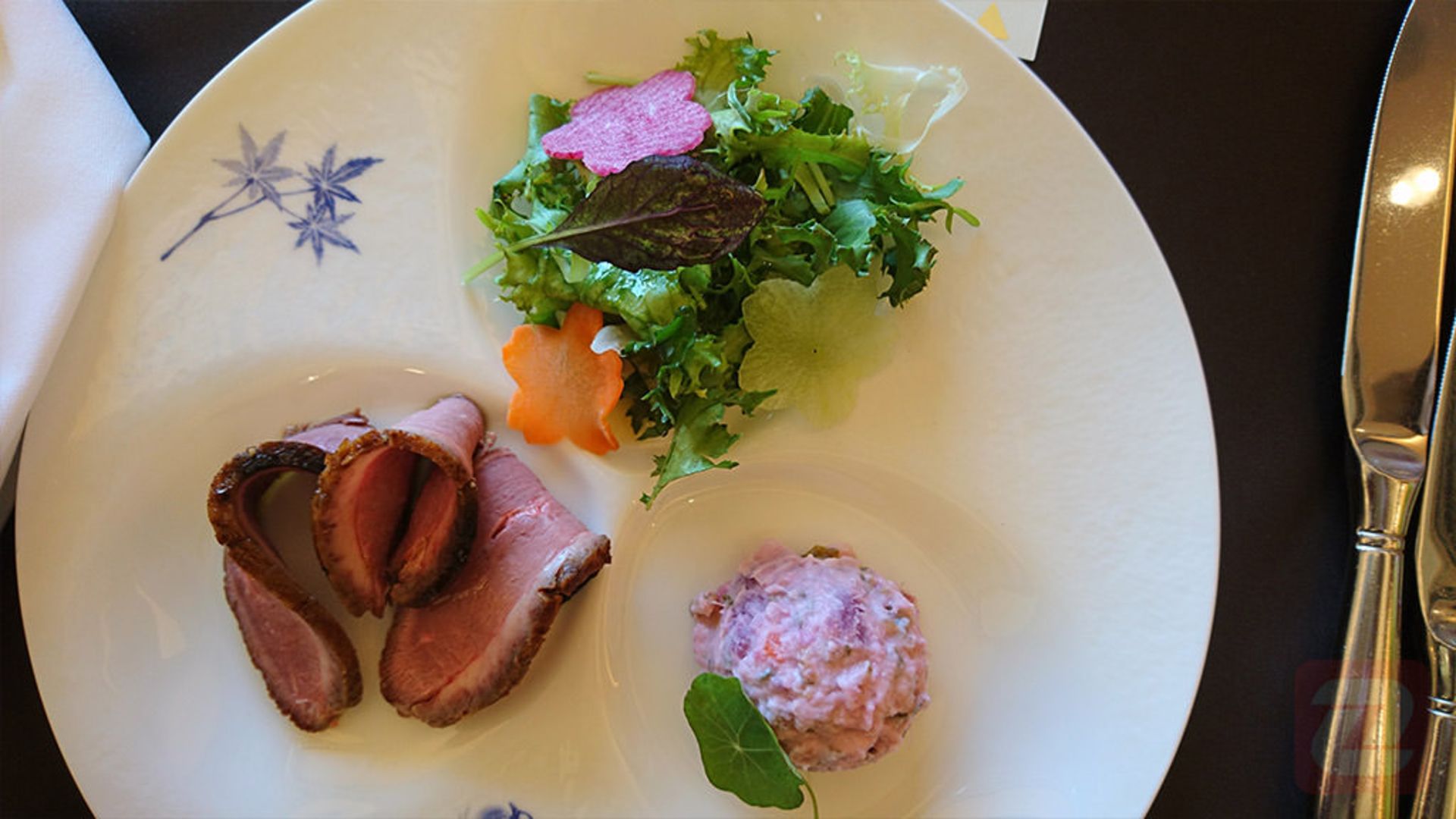 عکس اکسپریا ایکس