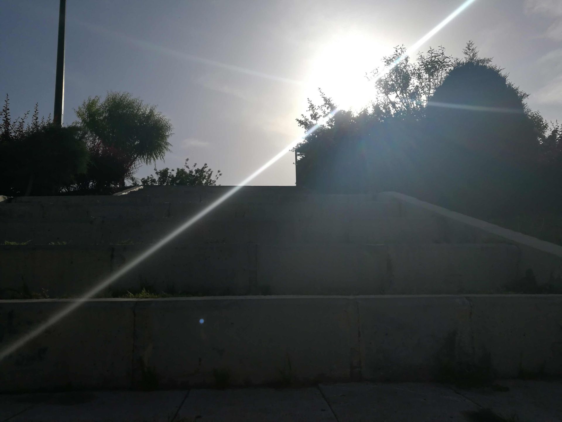 نمونه عکس دوربین هواوی پی 9