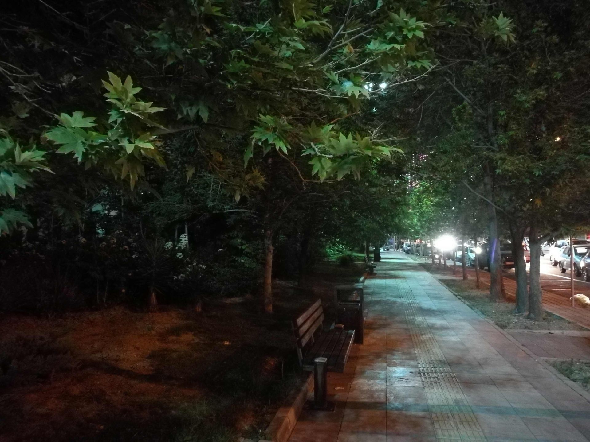 نمونه عکس دوربین هواوی پی 9