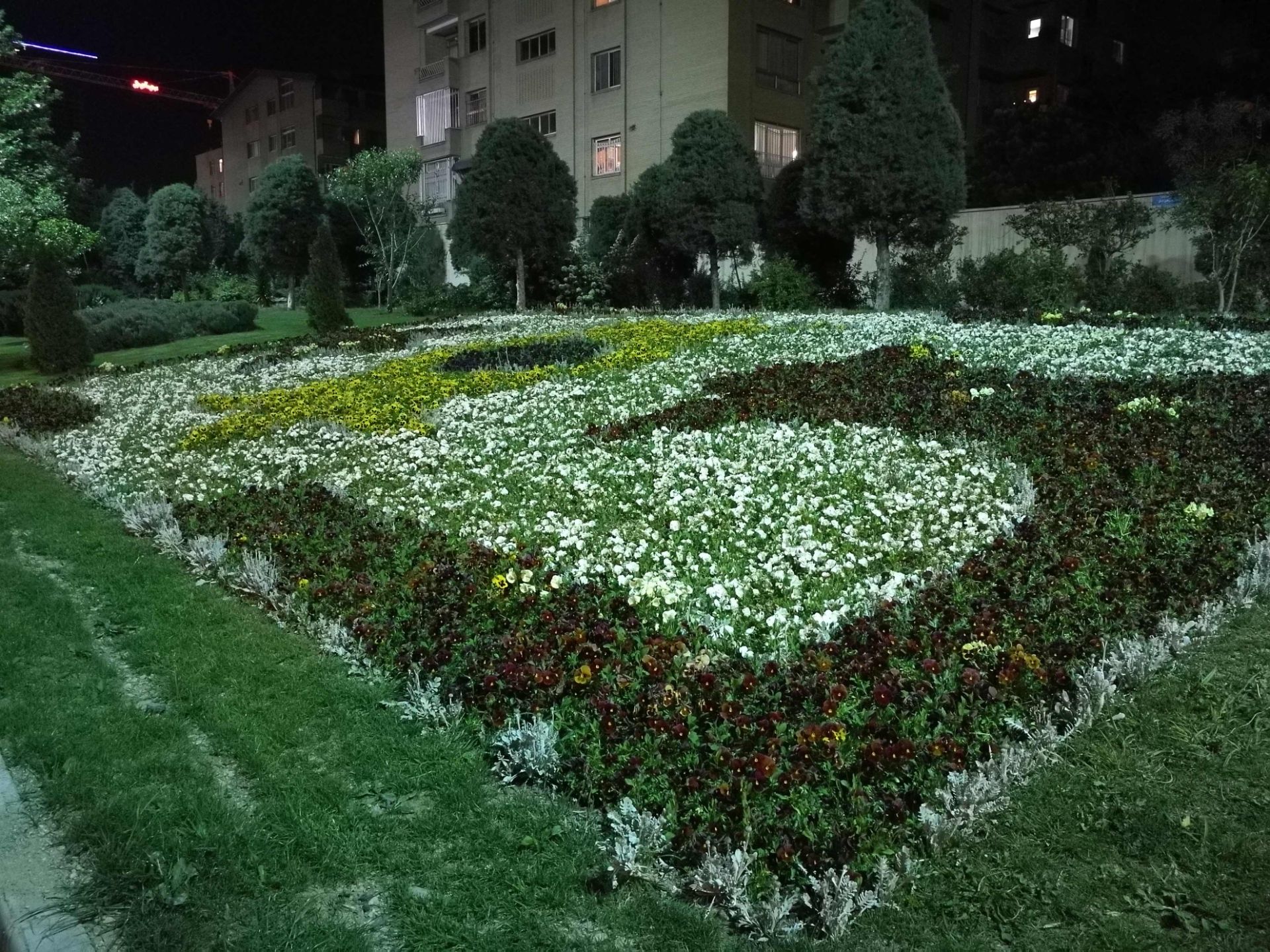 نمونه عکس دوربین هواوی پی 9