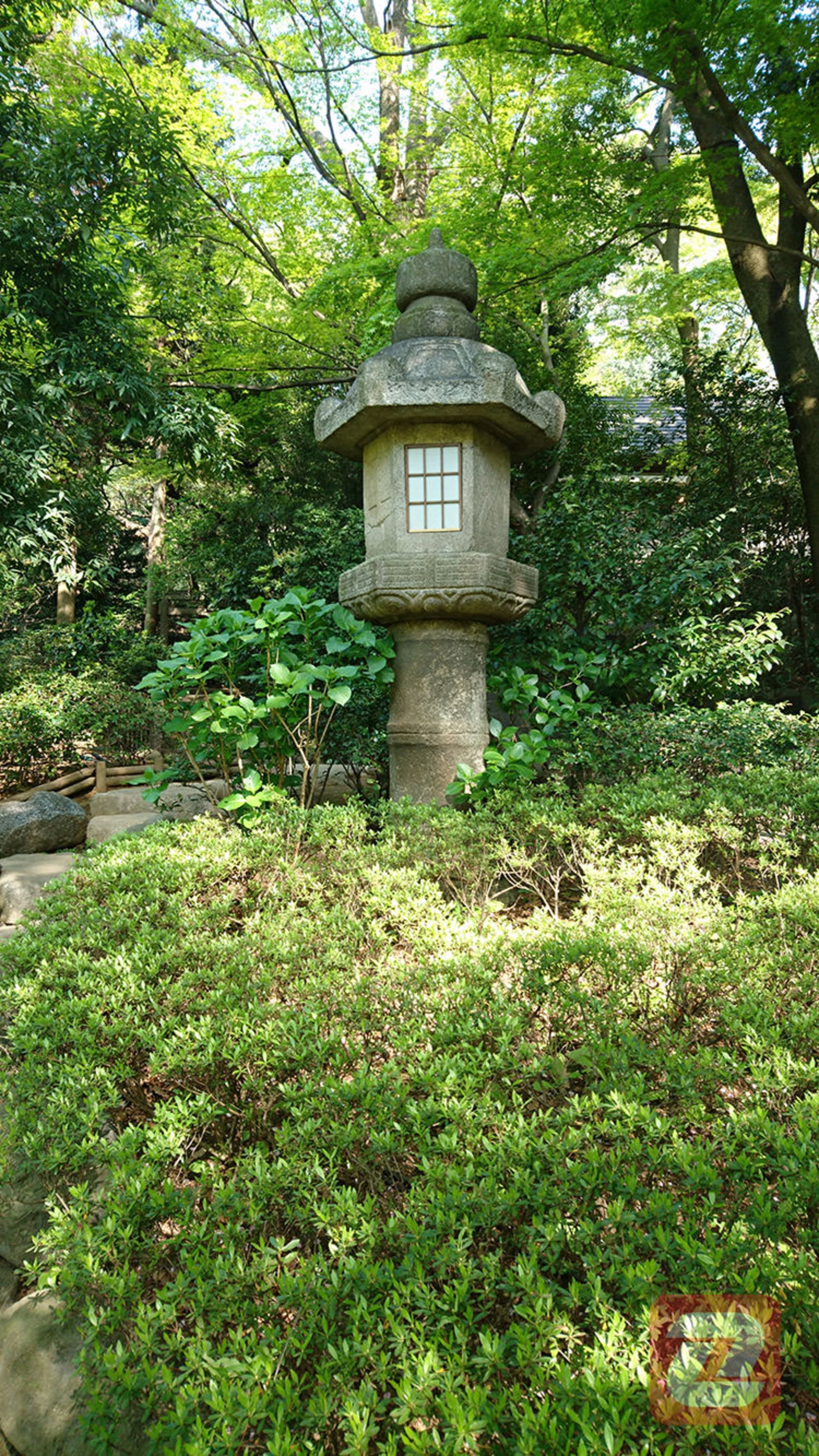 عکس اکسپریا ایکس