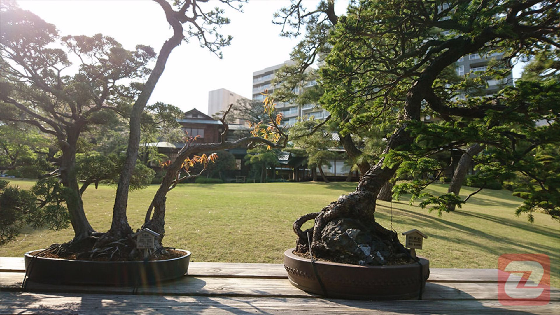 عکس اکسپریا ایکس