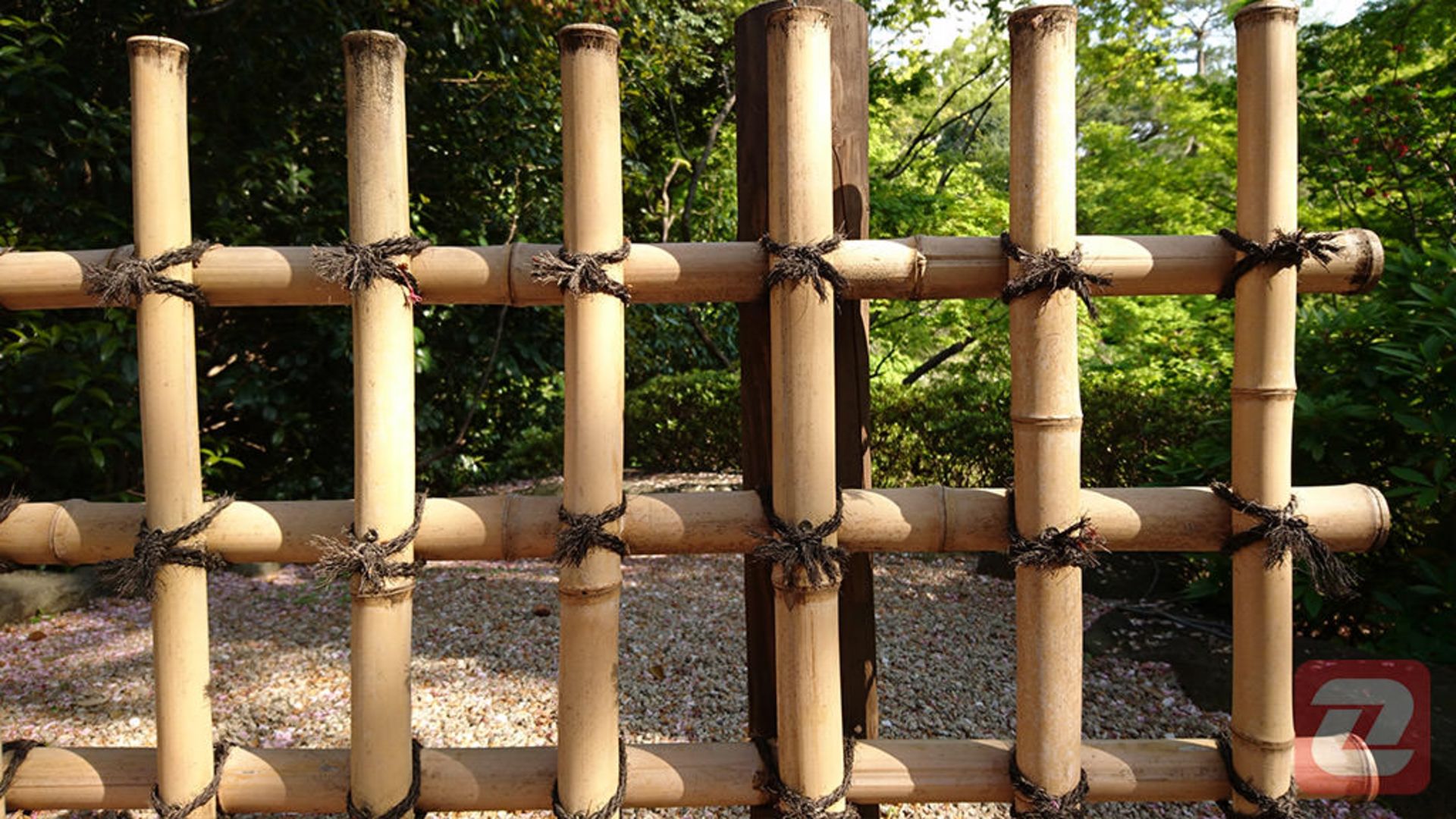 عکس اکسپریا ایکس