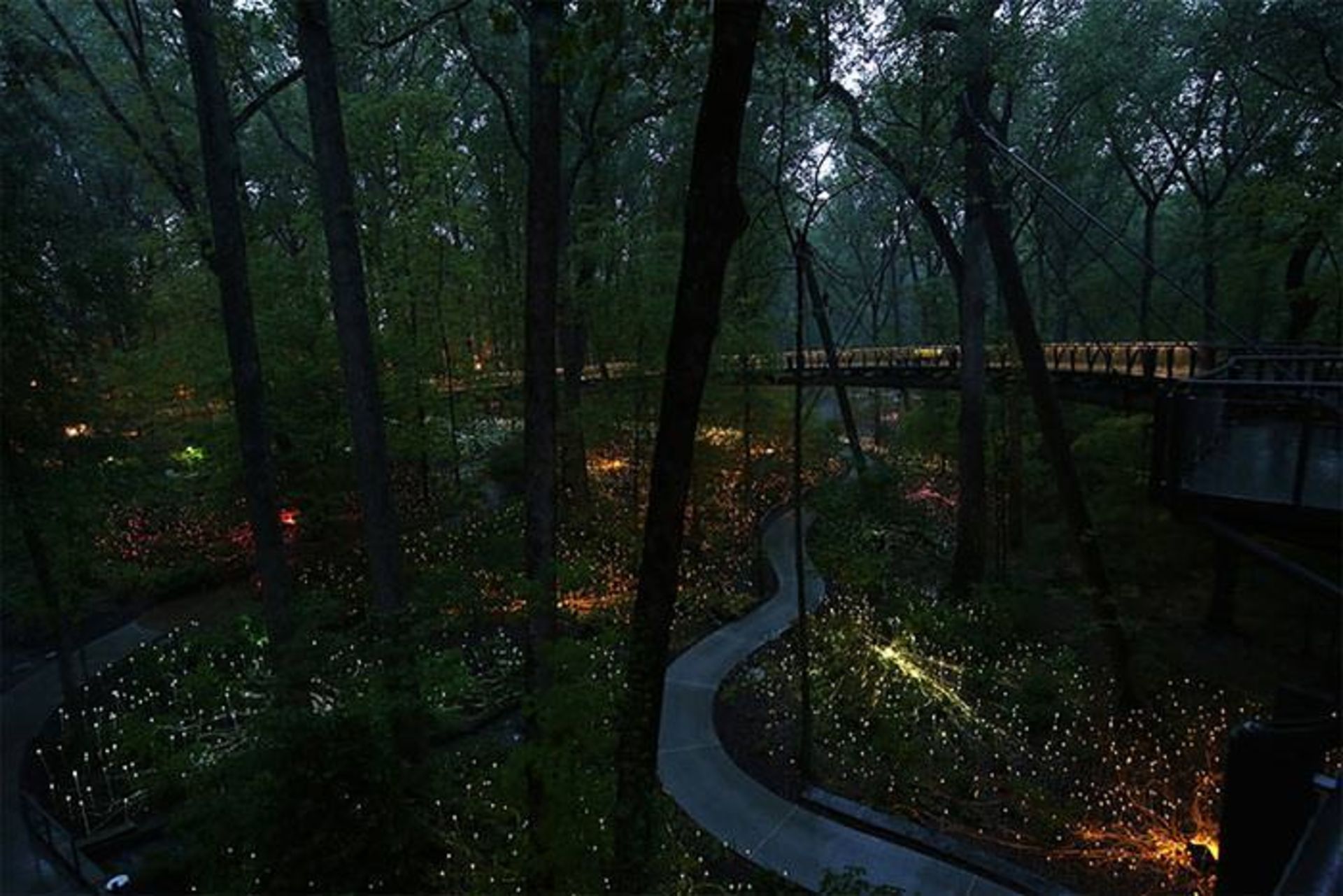 بروس مونرو و ایجاد مزارعی نورانی