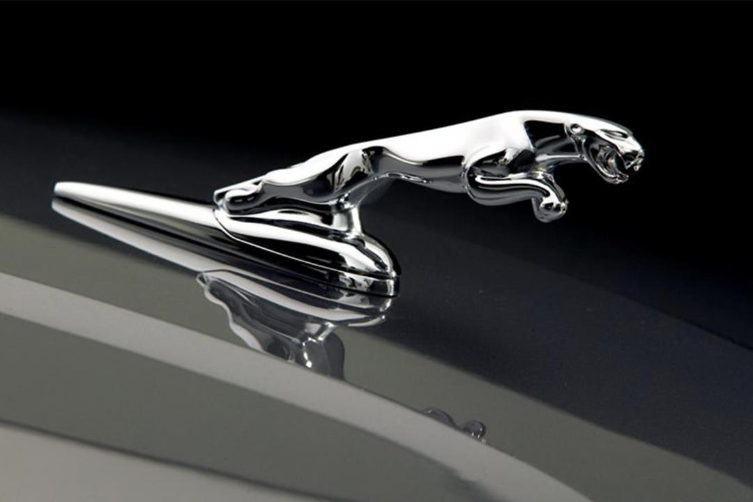 جگوار jaguar