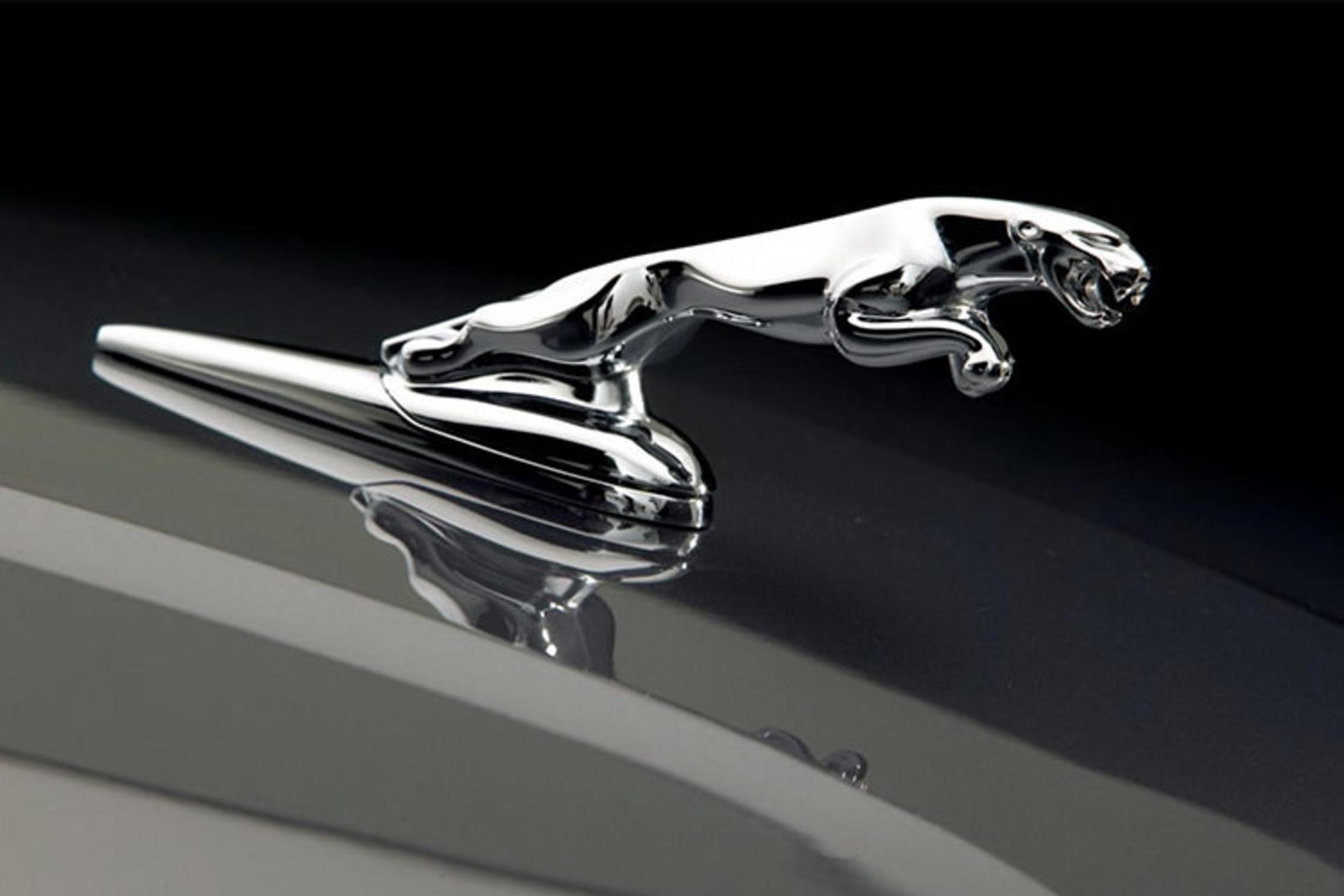 جگوار jaguar