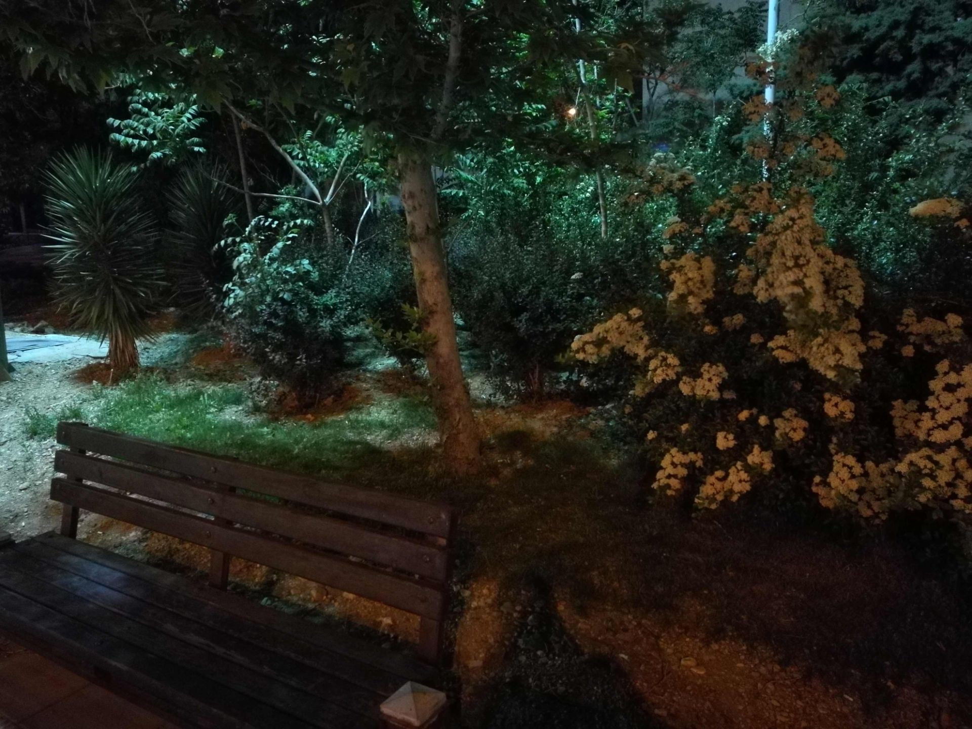 نمونه عکس دوربین هواوی پی 9