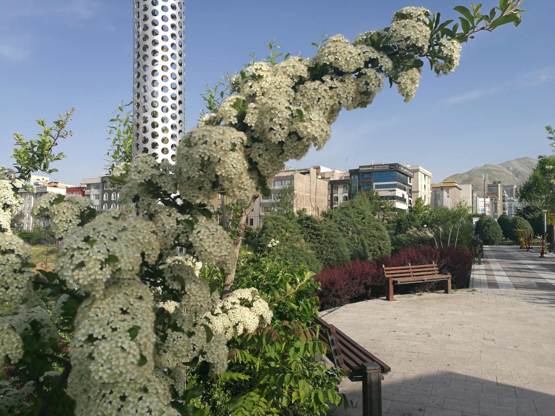 نمونه عکس دوربین هواوی پی 9