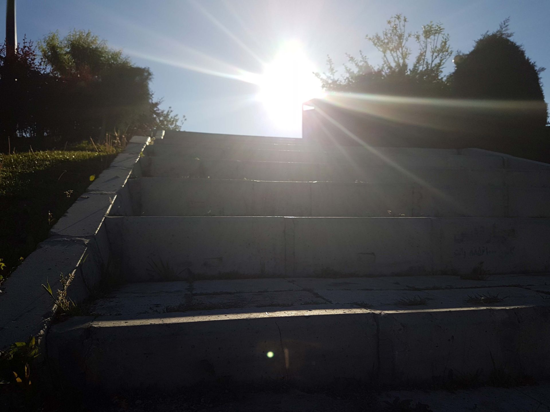 نمونه عکس دوربین گلکسی اس 7