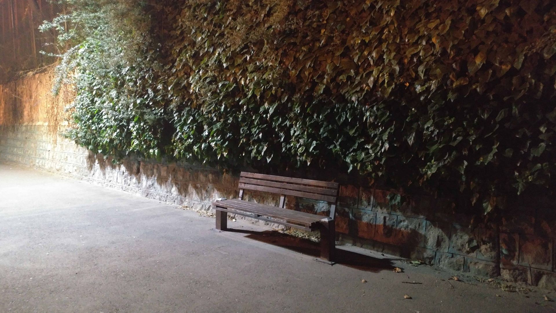 نمونه عکس ال جی جی 5