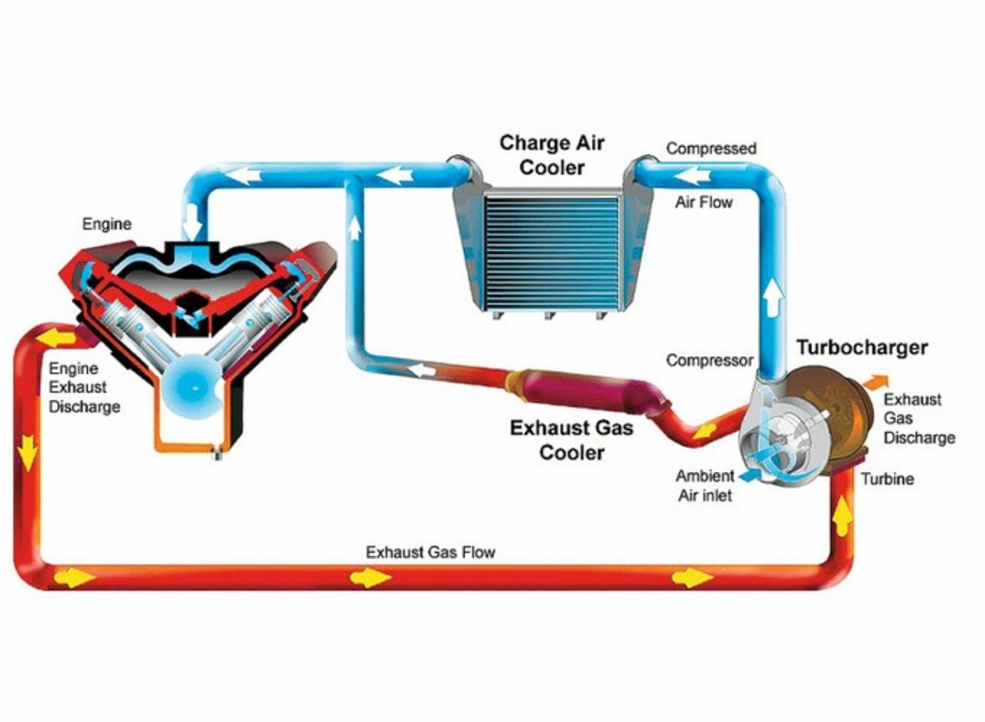 EGR-turbocharger