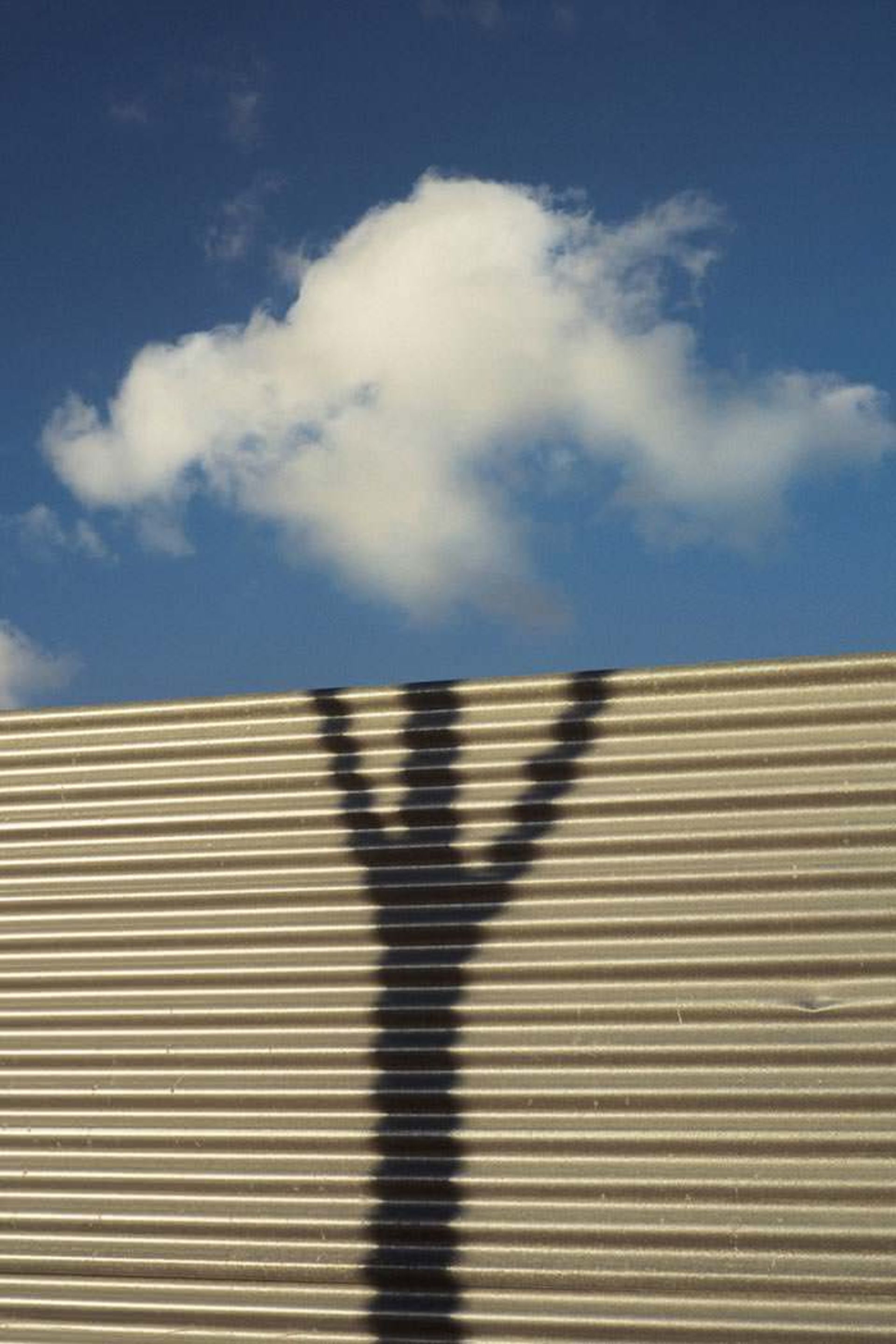 عکاسی و دنیایی از تطابق‌های دیدنی 