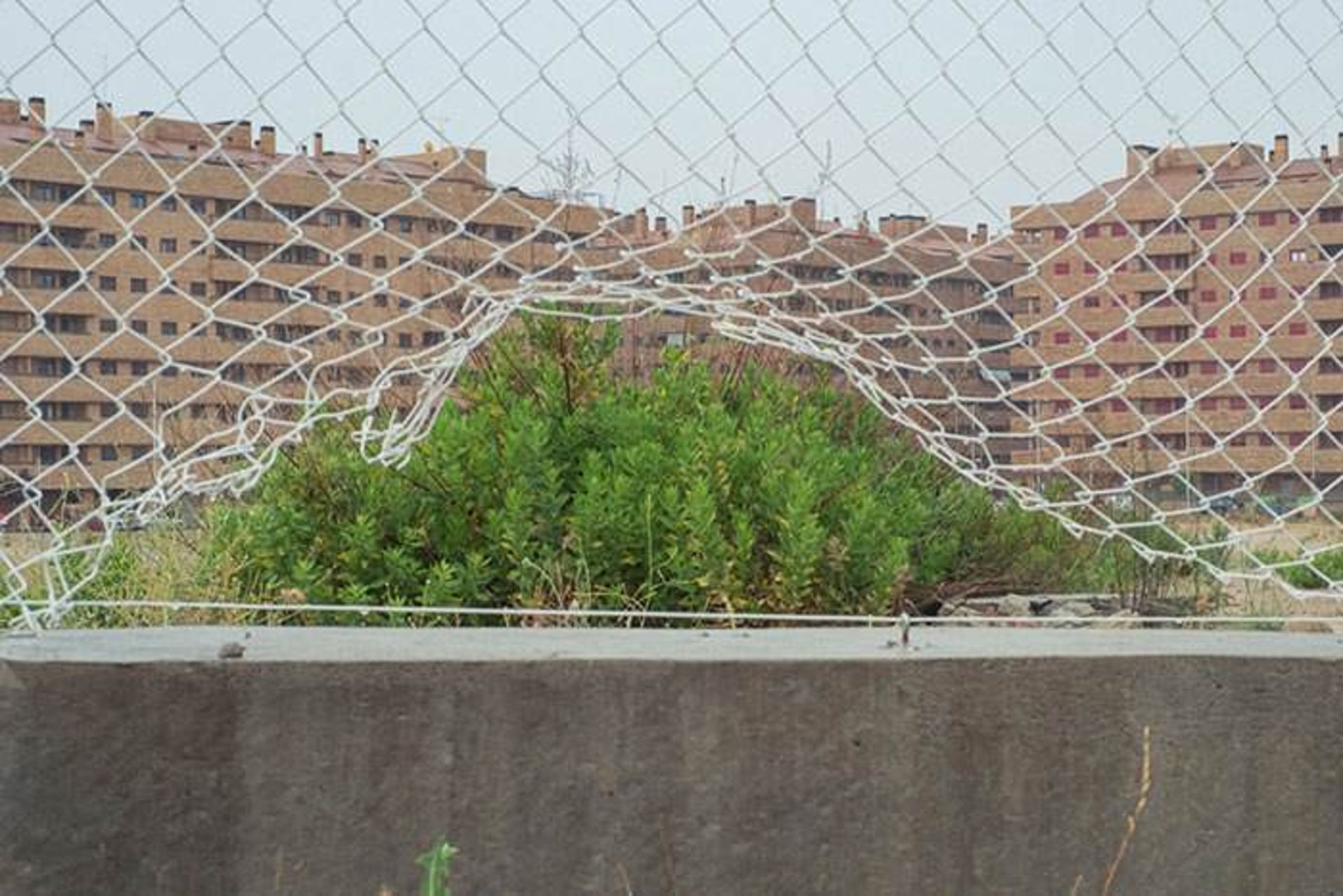 عکاسی و دنیایی از تطابق‌های دیدنی 