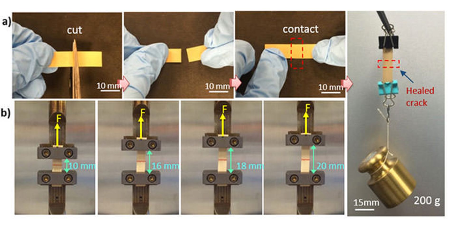 ماده‌ی خود ترمیم شونده
