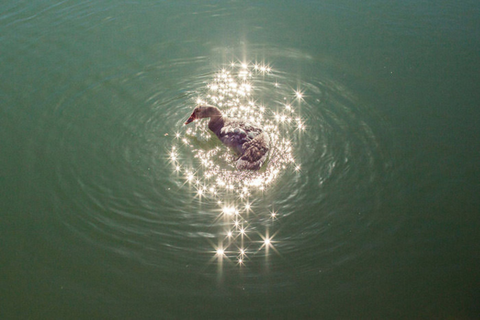 عکاسی و دنیایی از تطابق‌های دیدنی 