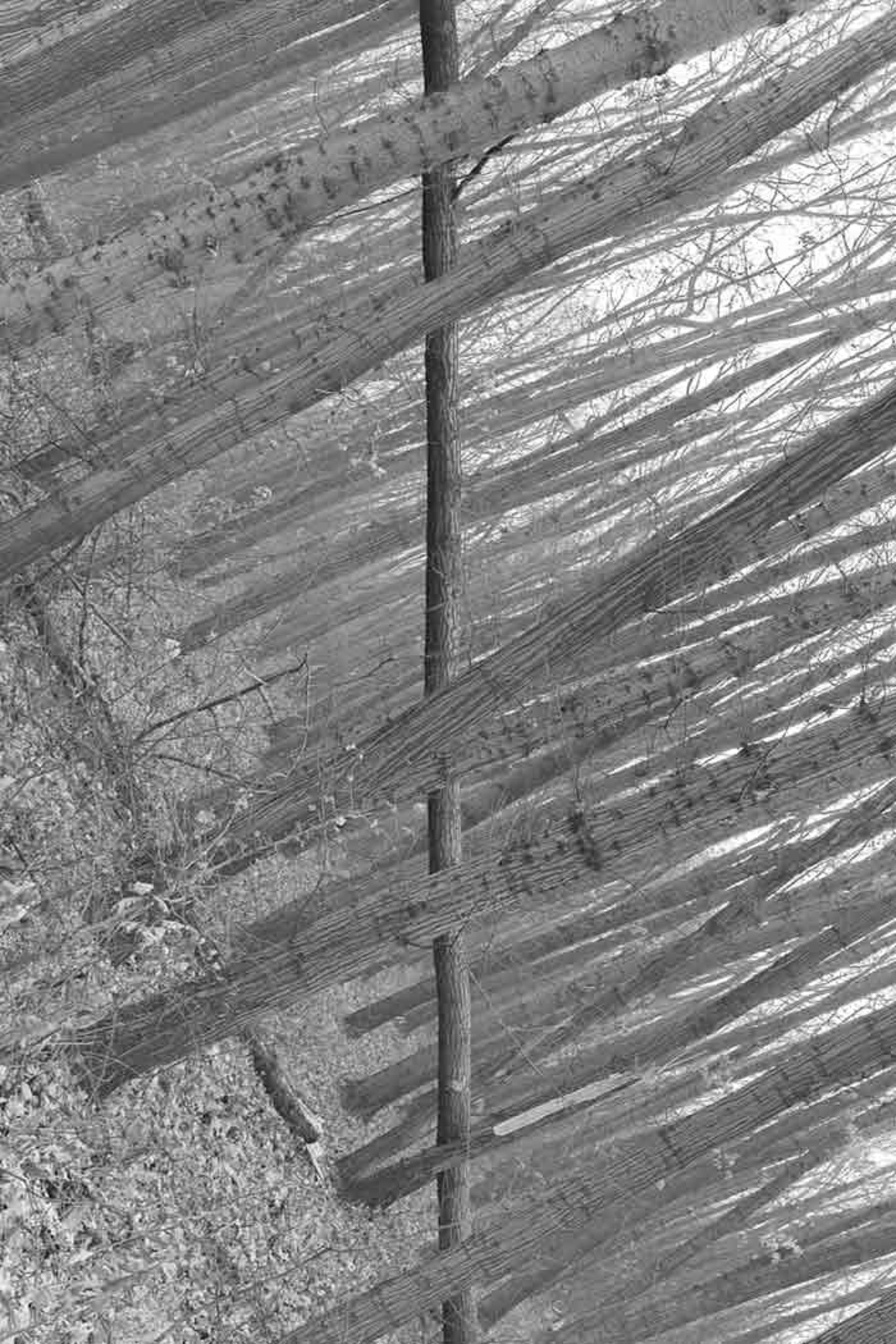 عکاسی و دنیایی از تطابق‌های دیدنی 