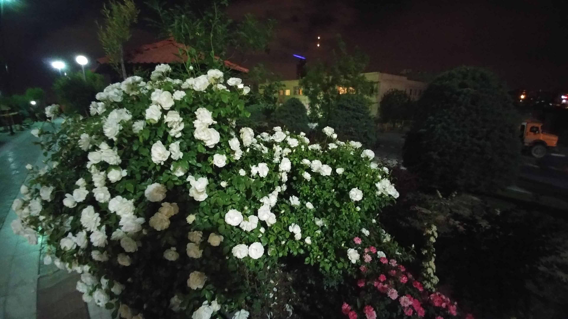نمونه عکس ال جی جی 5