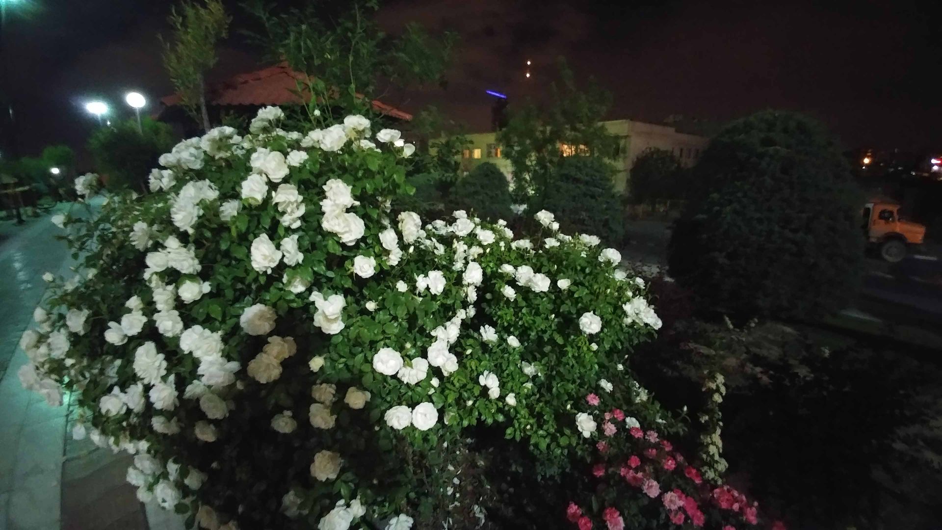 نمونه عکس ال جی جی 5