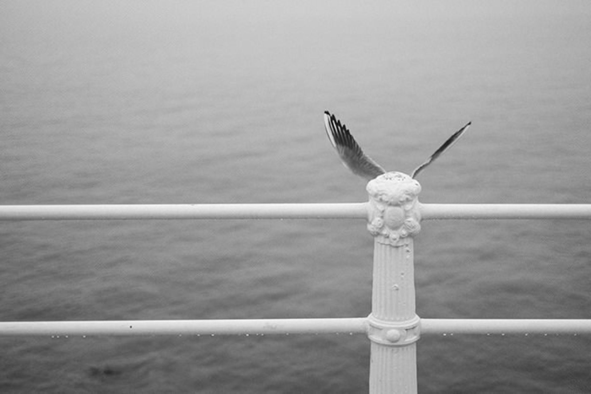 عکاسی و دنیایی از تطابق‌های دیدنی 