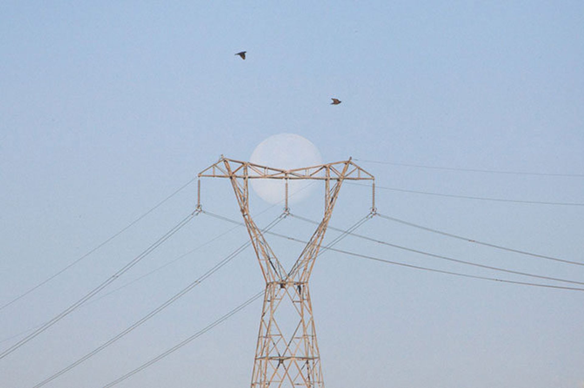 عکاسی و دنیایی از تطابق‌های دیدنی 