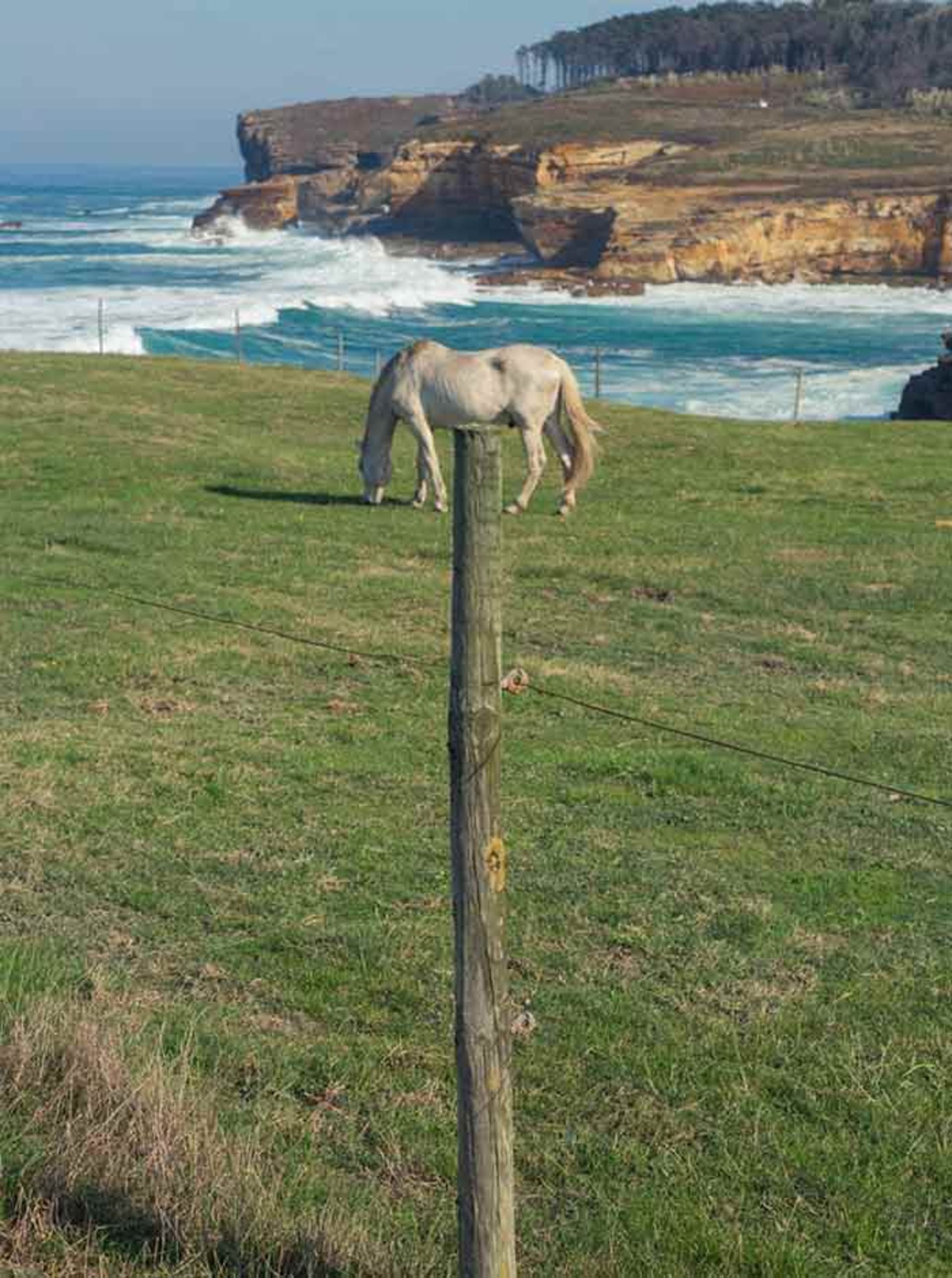 عکاسی و دنیایی از تطابق‌های دیدنی 