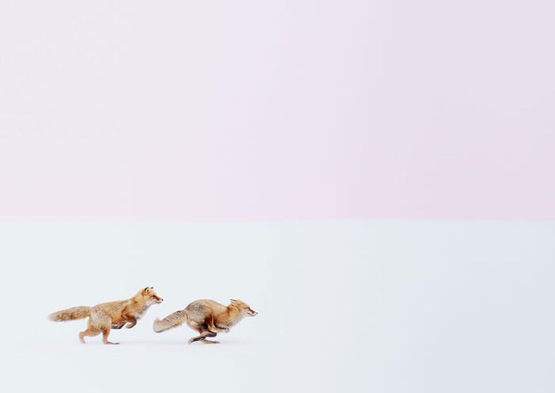 تصاویر برتر راه یافته به مسابقه عکس مسافرتی نشنال جئوگرافی 2016