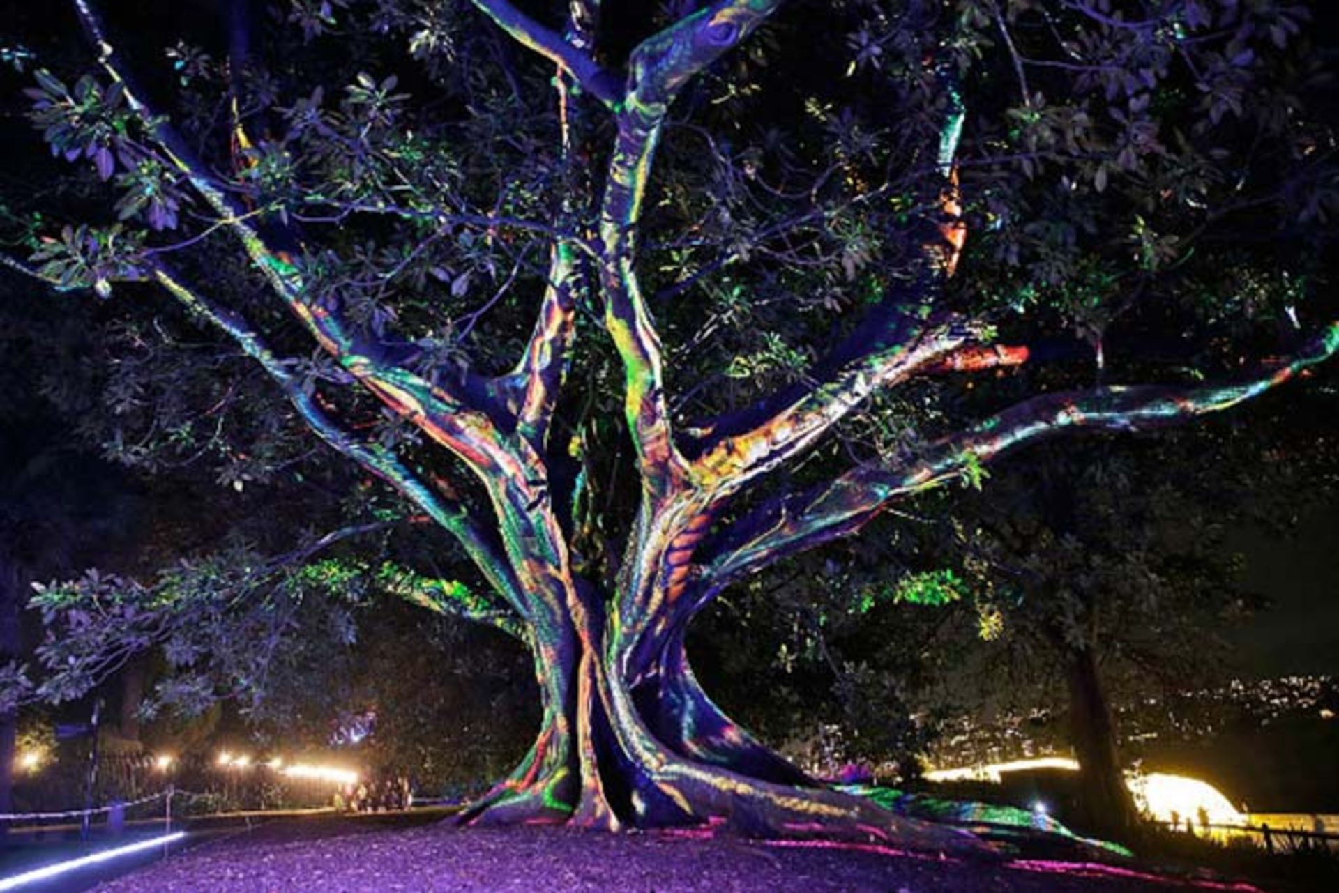 جشنواره‌ی نورانی سیدنی 2016