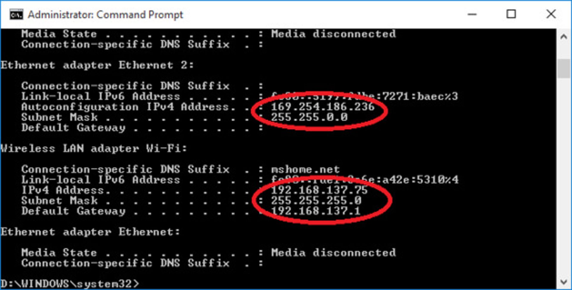 ipconfig