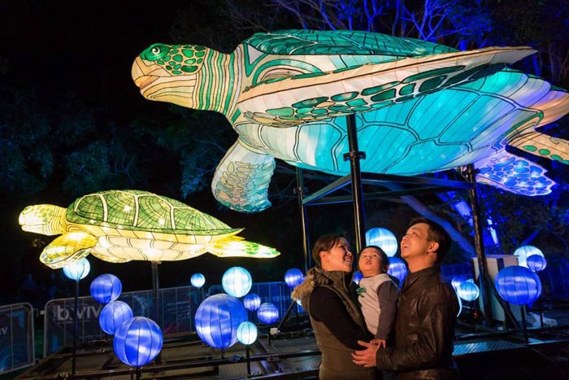 جشنواره‌ی نورانی سیدنی 2016