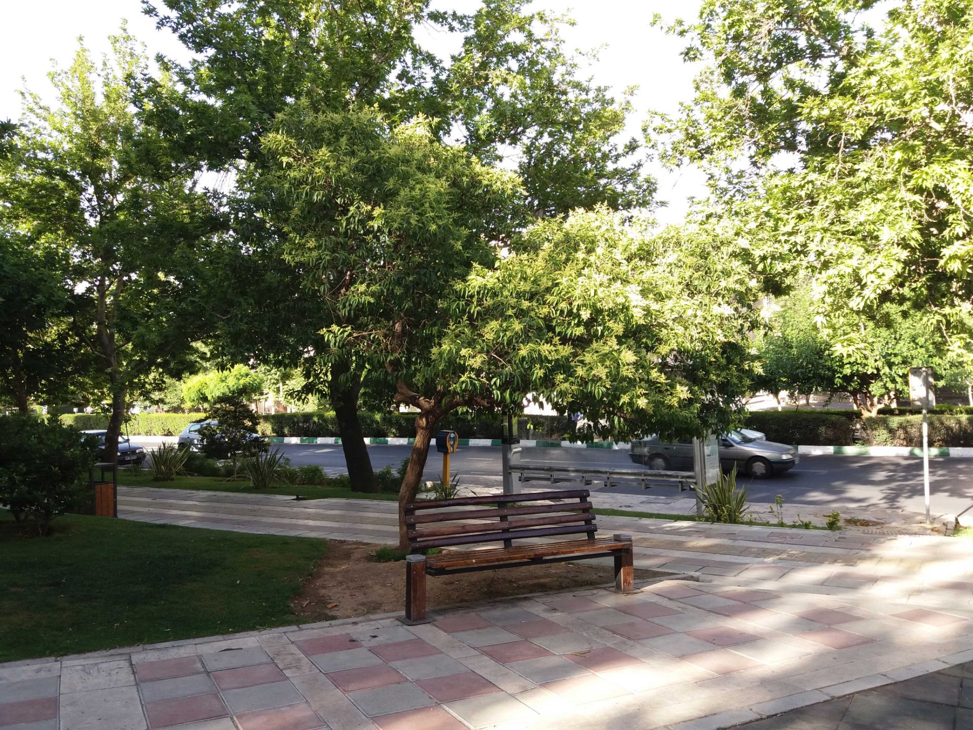 نمونه تصاویر گلکسی A9