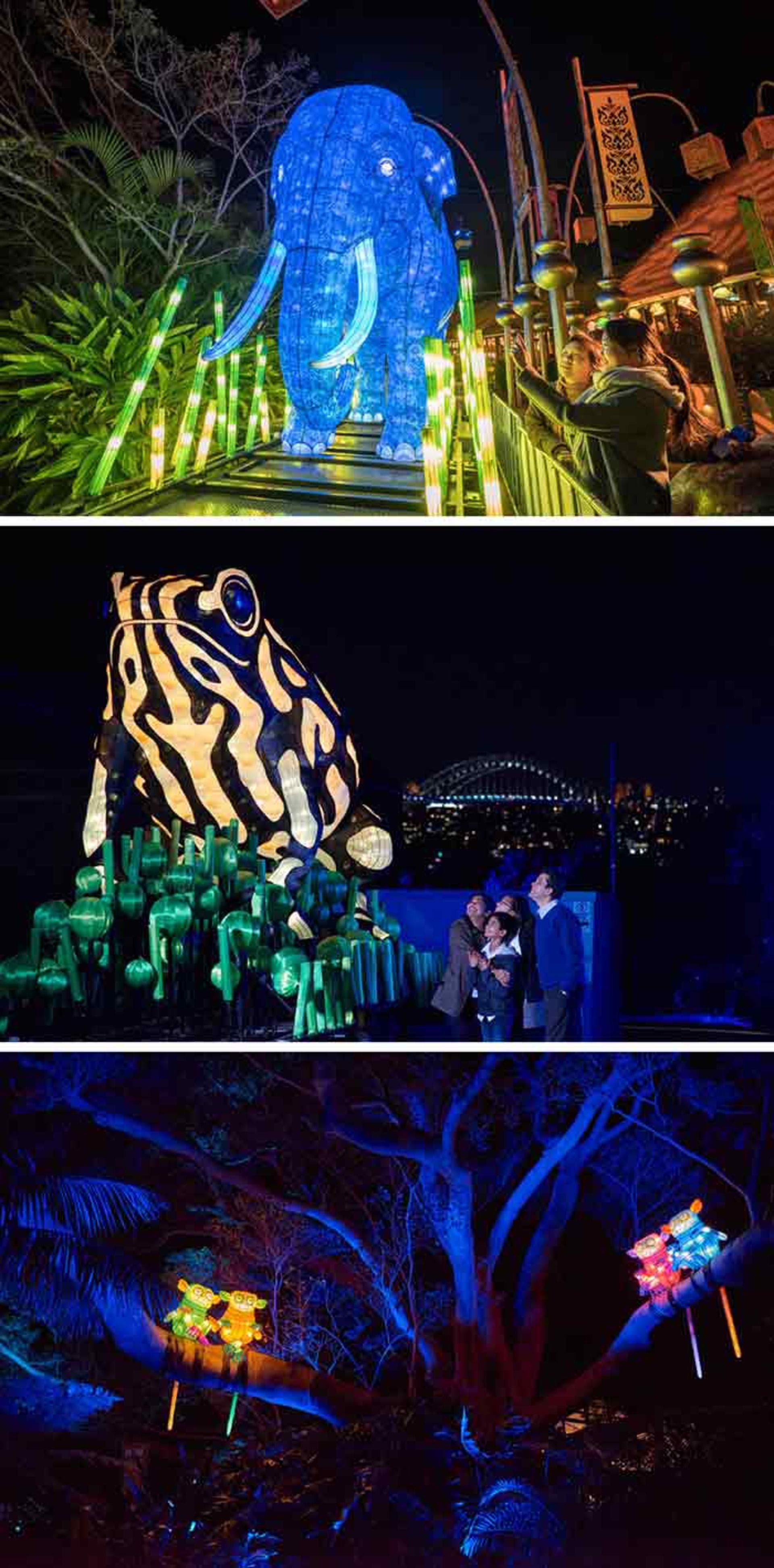 جشنواره‌ی نورانی سیدنی 2016