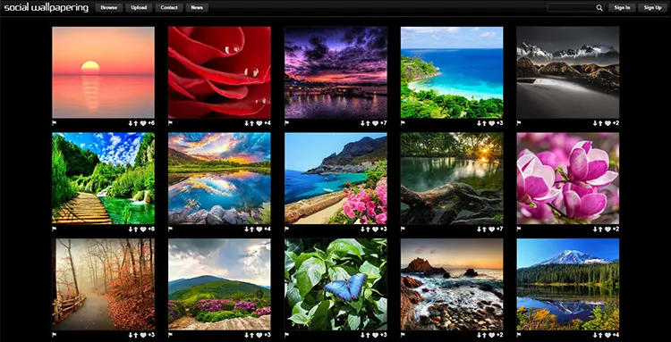 website