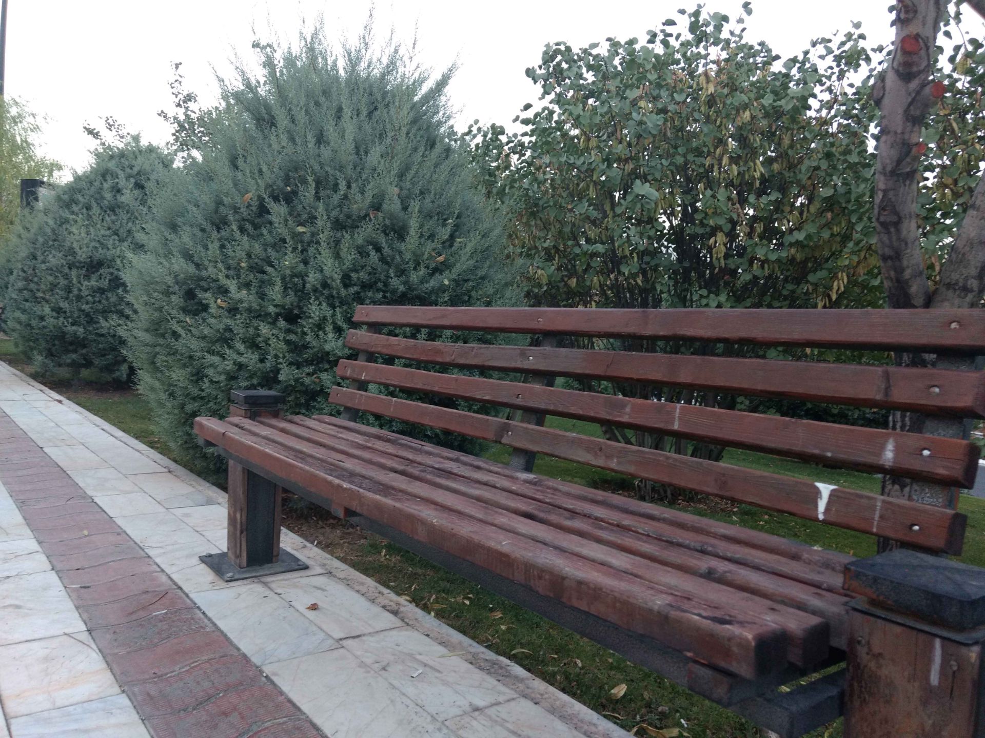 نمونه تصاویر موتو جی 4 