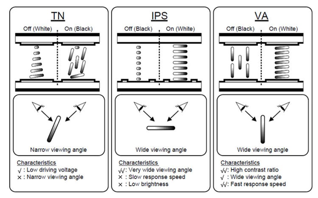 TN vs IPS vs VA