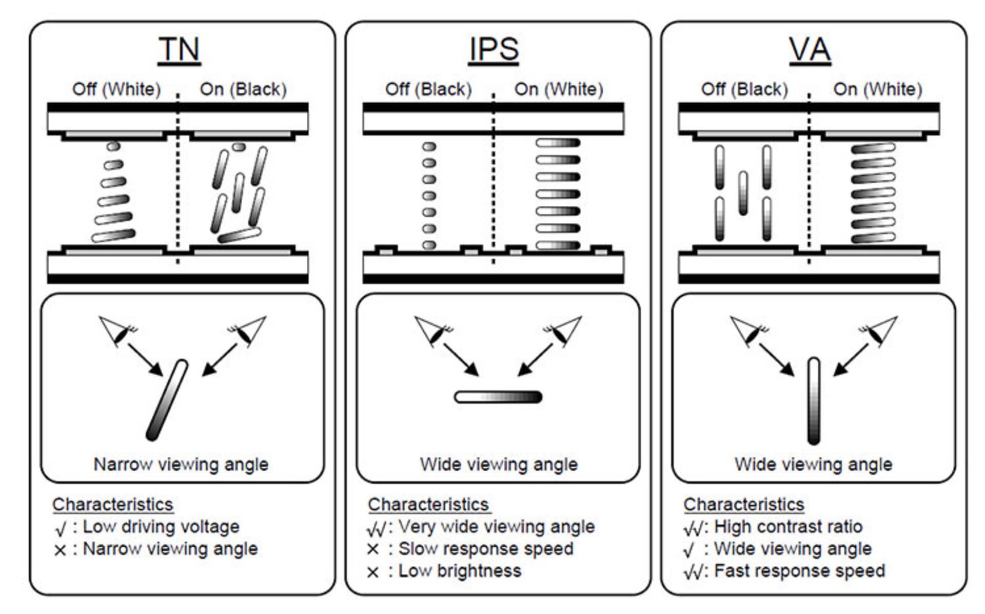 TN vs IPS vs VA