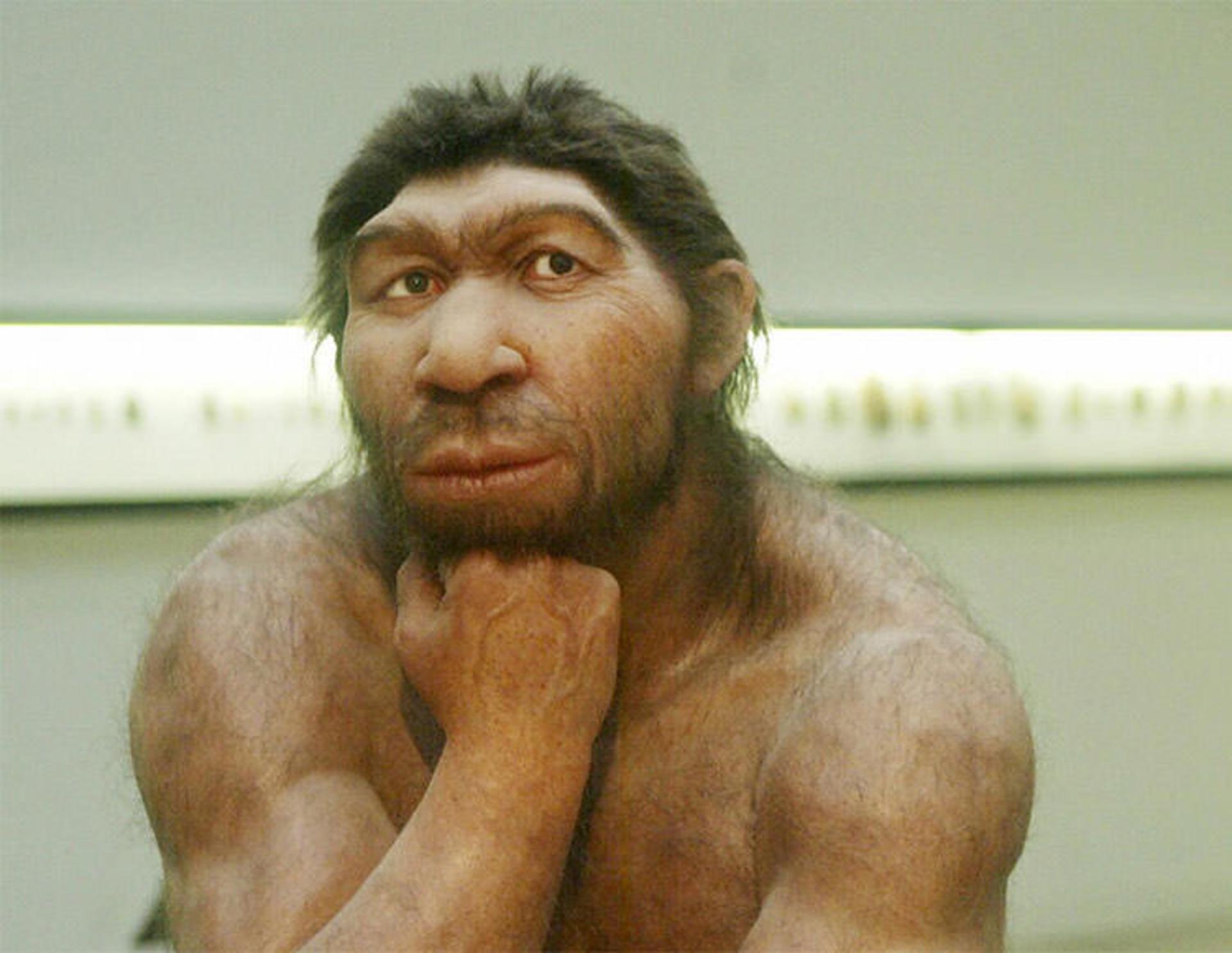 ٔNeandertals