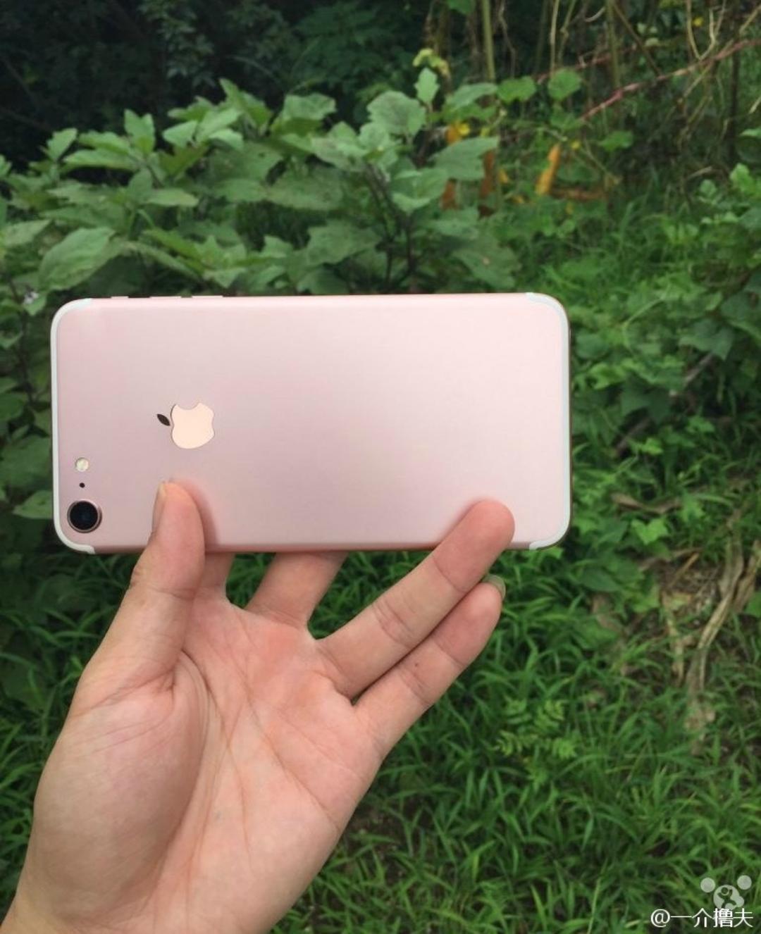 آیفون 7 / iPhone 7