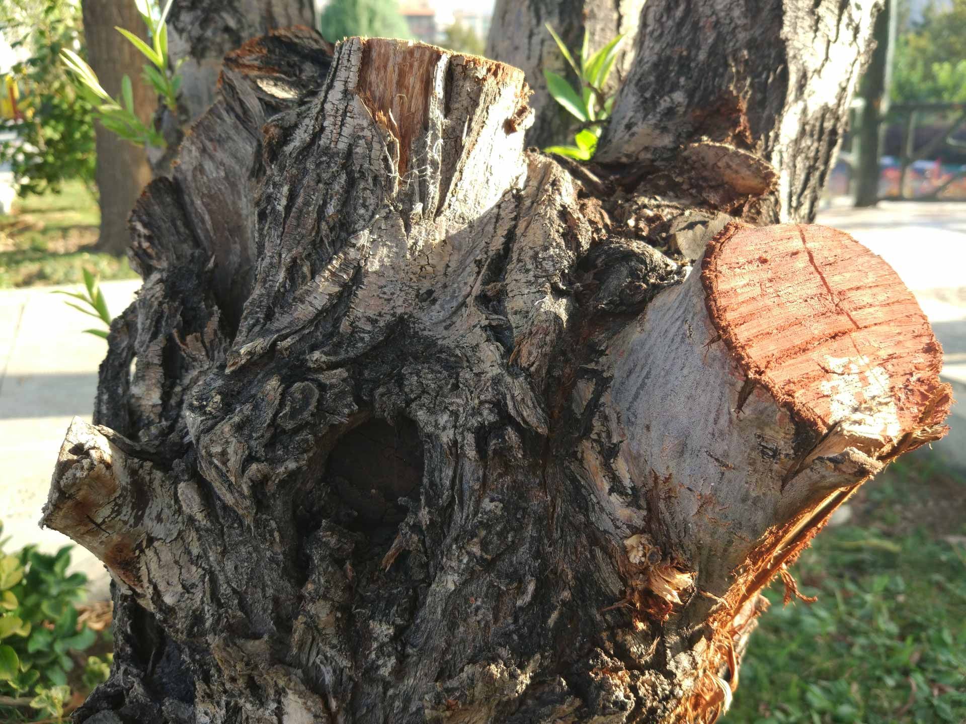 گالری تصاویر دوربین می 5