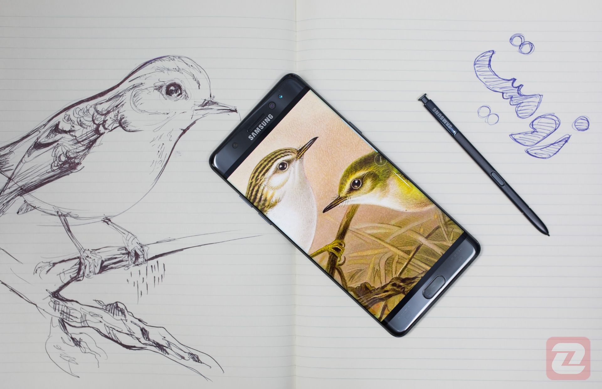 گلکسی نوت 7 / Galaxy Note 7