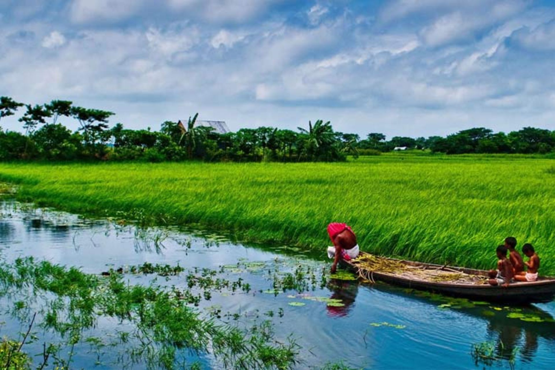 عکاسی از طبیعت بنگلادش