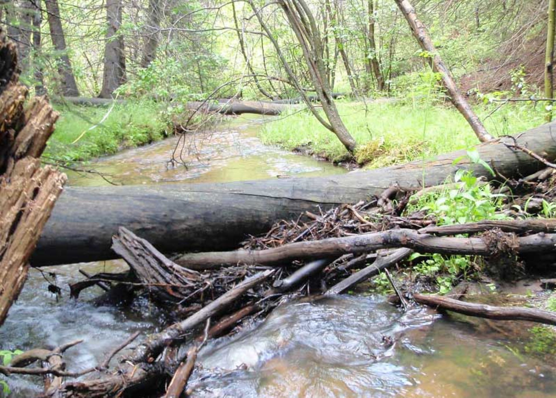 اثر انسان در طبیعت