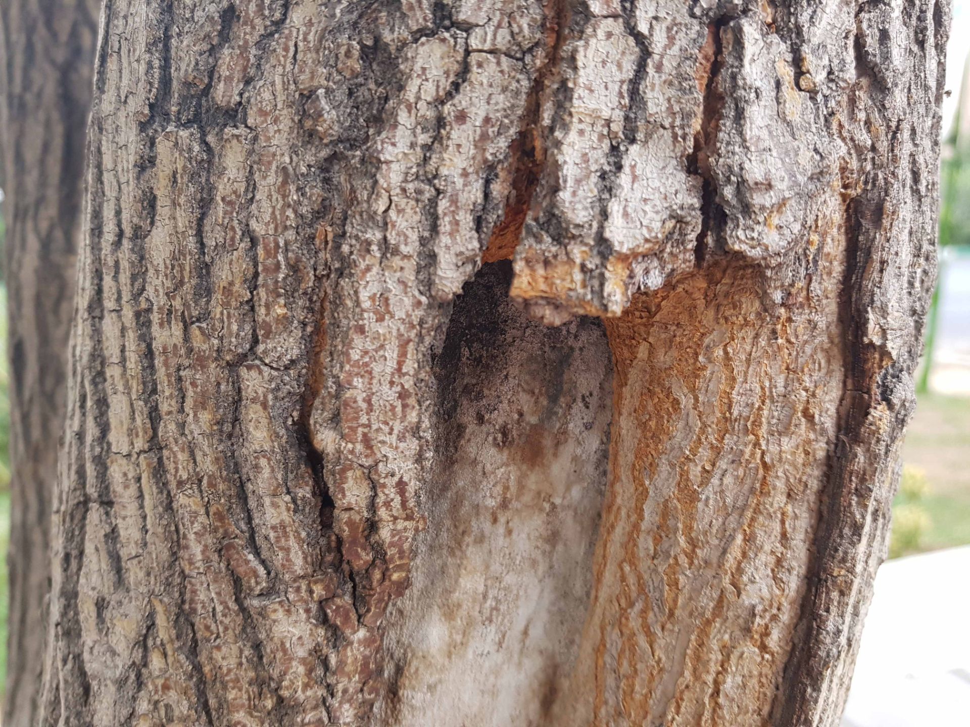 نمونه عکس گلکسی نوت 7