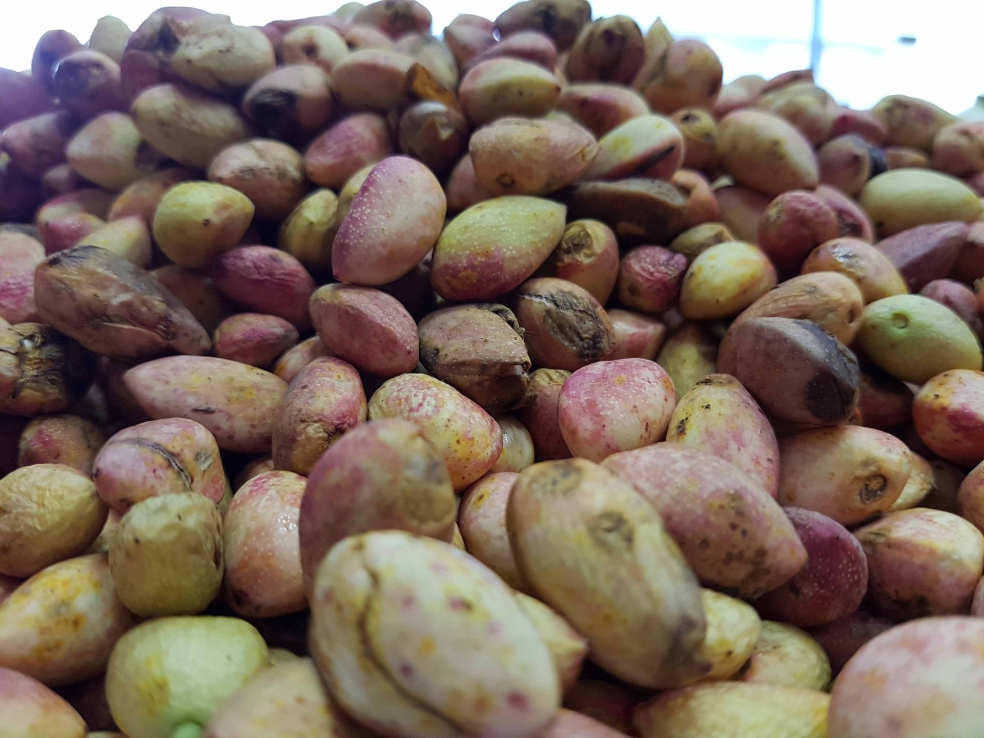 نمونه تصاویر گلکسی نوت 7